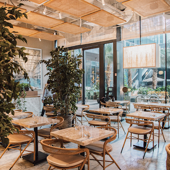 Coastal Elegance at Fynn’s Singapore Restaurant is meticulously crafted and designed by studio Königshausen. Indulge in a culinary journey at our light lunch and dining destination, where contemporary coastal design takes centre stage.  
